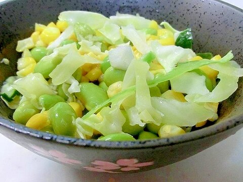 シャキシャキ感がたまらない☆夏野菜サラダ